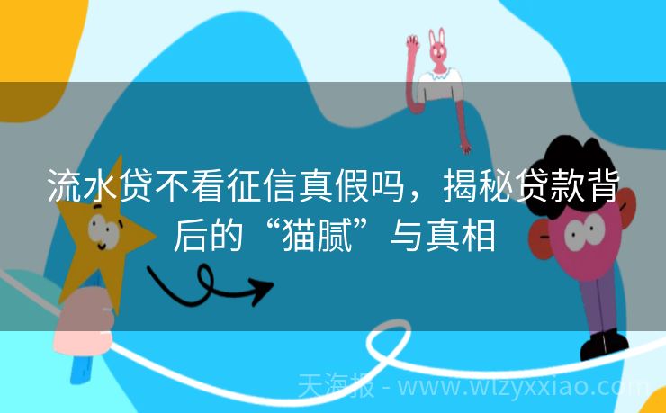 流水贷不看征信真假吗，揭秘贷款背后的“猫腻”与真相