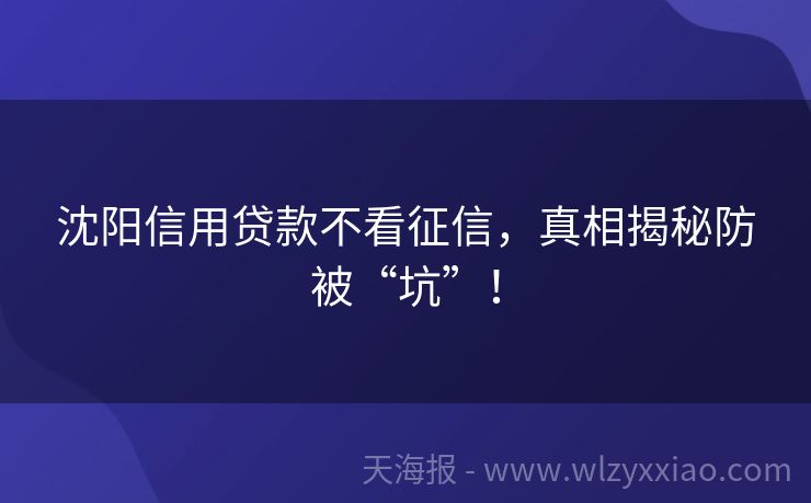 沈阳信用贷款不看征信，真相揭秘防被“坑”！