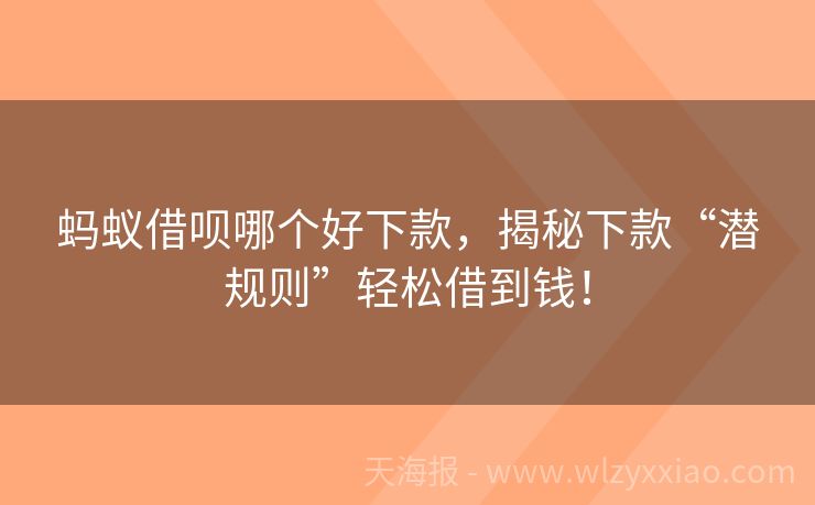 蚂蚁借呗哪个好下款，揭秘下款“潜规则”轻松借到钱！