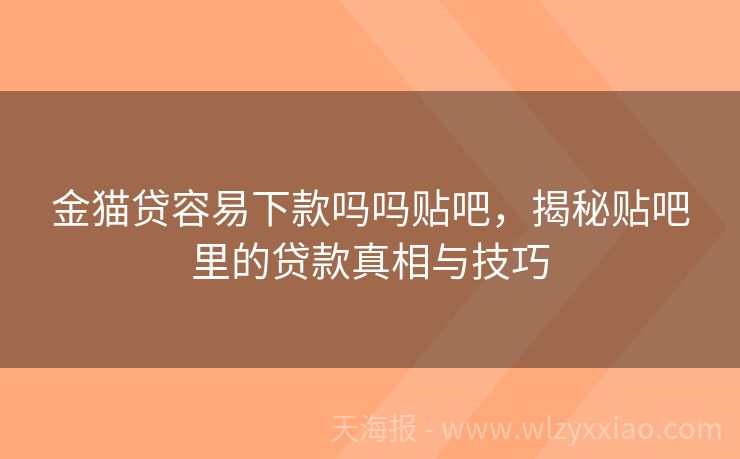 金猫贷容易下款吗吗贴吧，揭秘贴吧里的贷款真相与技巧