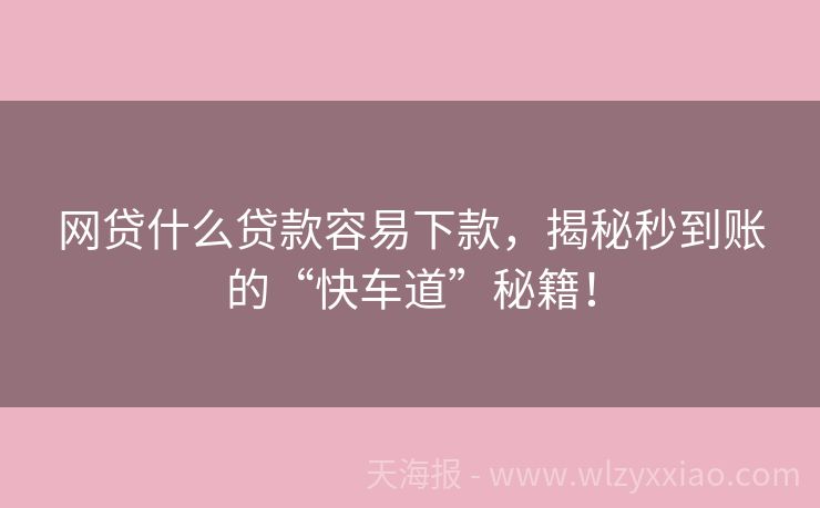 网贷什么贷款容易下款，揭秘秒到账的“快车道”秘籍！