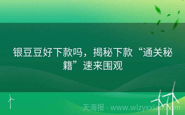 银豆豆好下款吗，揭秘下款“通关秘籍”速来围观