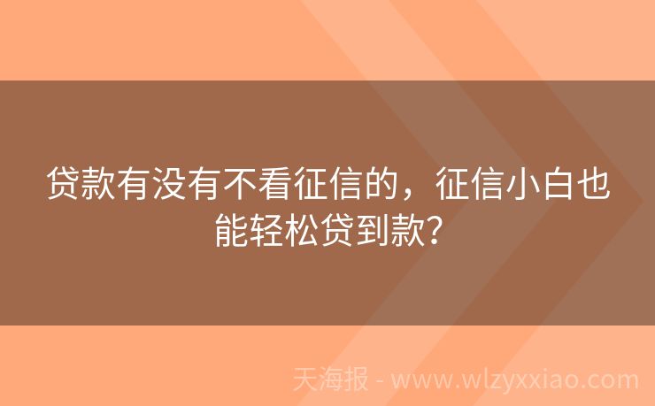 贷款有没有不看征信的，征信小白也能轻松贷到款？