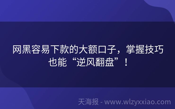 网黑容易下款的大额口子，掌握技巧也能“逆风翻盘”！