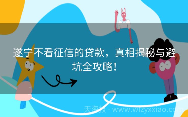 遂宁不看征信的贷款，真相揭秘与避坑全攻略！