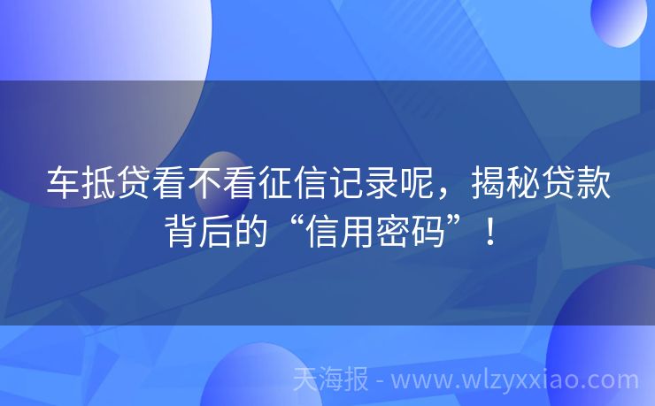 车抵贷看不看征信记录呢，揭秘贷款背后的“信用密码”！