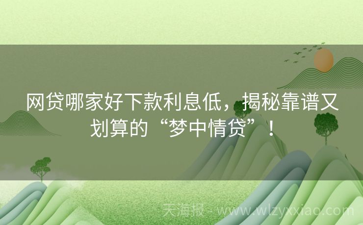 网贷哪家好下款利息低，揭秘靠谱又划算的“梦中情贷”！