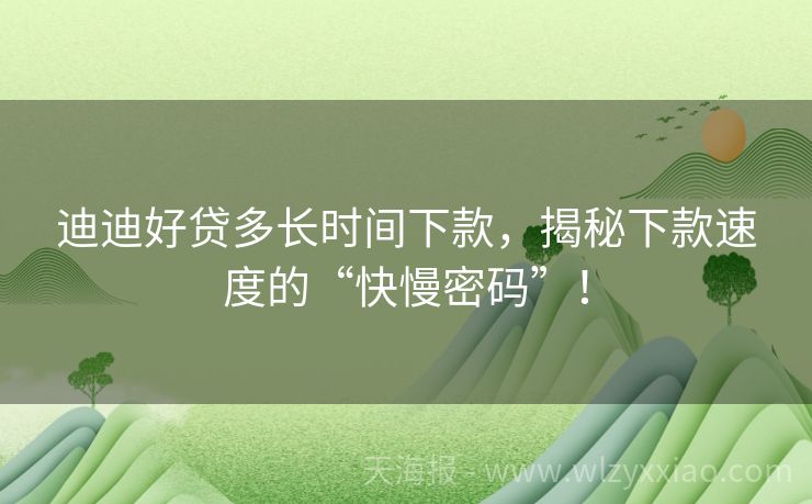 迪迪好贷多长时间下款，揭秘下款速度的“快慢密码”！
