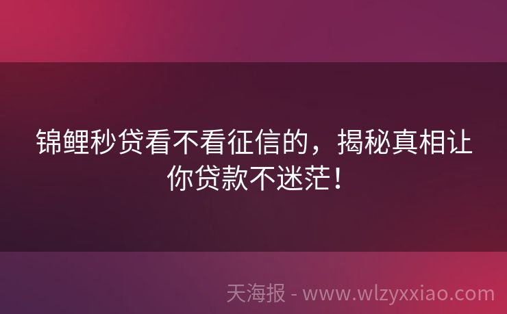 锦鲤秒贷看不看征信的，揭秘真相让你贷款不迷茫！