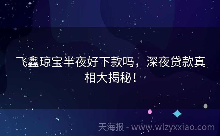 飞鑫琼宝半夜好下款吗，深夜贷款真相大揭秘！