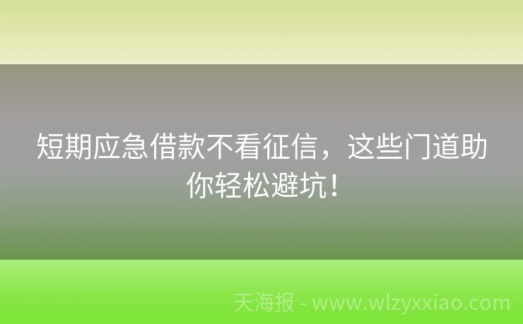短期应急借款不看征信，这些门道助你轻松避坑！