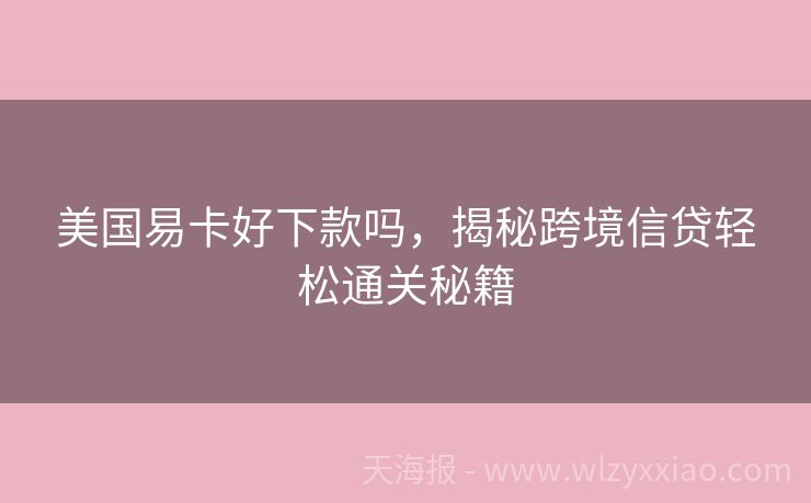 美国易卡好下款吗，揭秘跨境信贷轻松通关秘籍