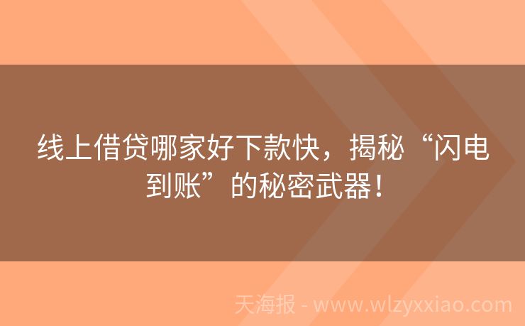 线上借贷哪家好下款快，揭秘“闪电到账”的秘密武器！