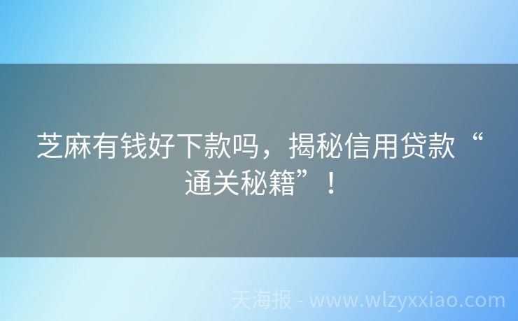芝麻有钱好下款吗，揭秘信用贷款“通关秘籍”！