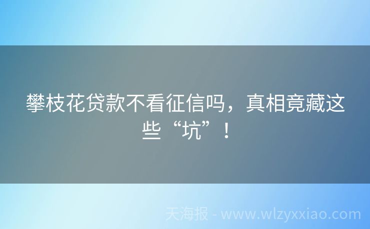 攀枝花贷款不看征信吗，真相竟藏这些“坑”！