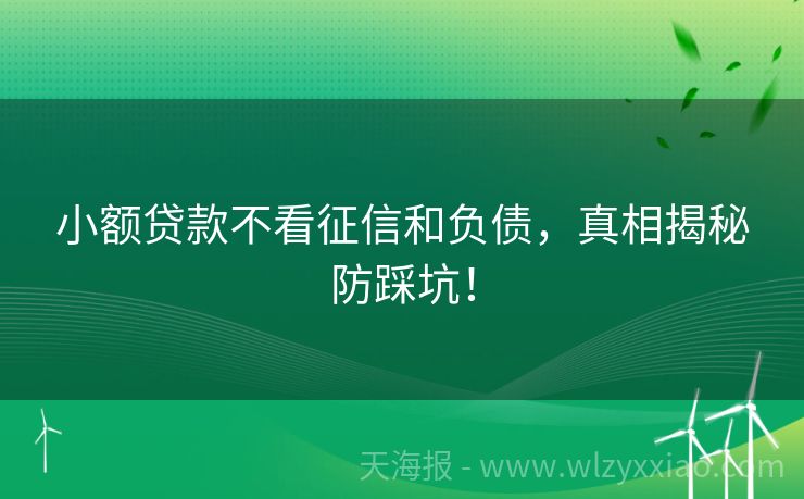小额贷款不看征信和负债，真相揭秘防踩坑！