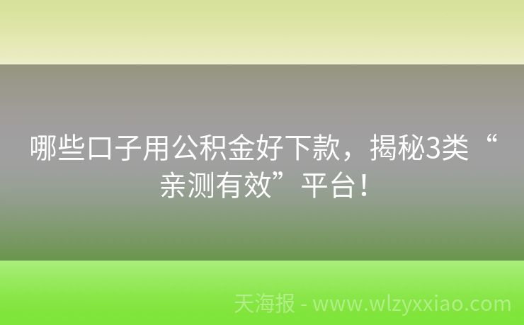 哪些口子用公积金好下款，揭秘3类“亲测有效”平台！