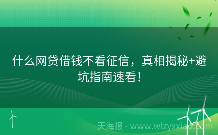 什么网贷借钱不看征信，真相揭秘+避坑指南速看！