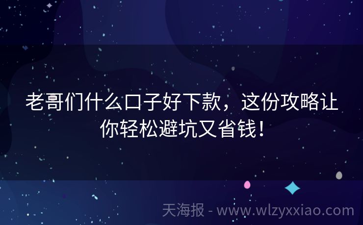 老哥们什么口子好下款，这份攻略让你轻松避坑又省钱！