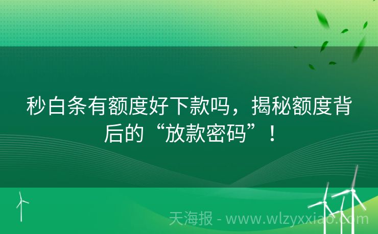 秒白条有额度好下款吗，揭秘额度背后的“放款密码”！