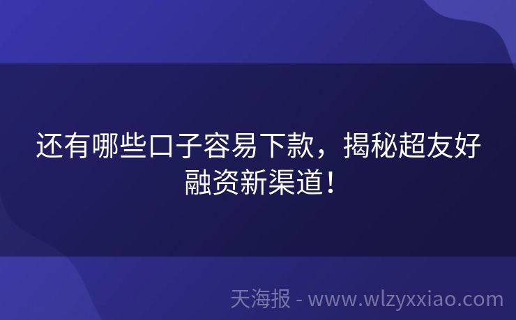还有哪些口子容易下款，揭秘超友好融资新渠道！