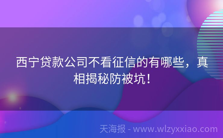 西宁贷款公司不看征信的有哪些，真相揭秘防被坑！