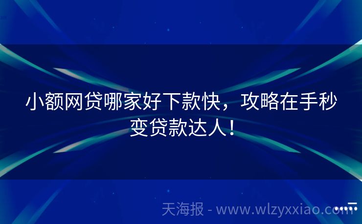 小额网贷哪家好下款快，攻略在手秒变贷款达人！