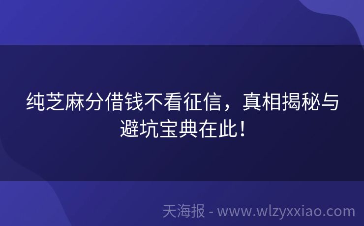 纯芝麻分借钱不看征信，真相揭秘与避坑宝典在此！