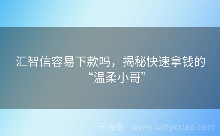 汇智信容易下款吗，揭秘快速拿钱的“温柔小哥”