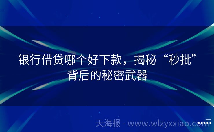 银行借贷哪个好下款，揭秘“秒批”背后的秘密武器