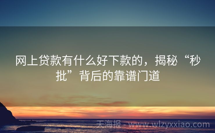 网上贷款有什么好下款的，揭秘“秒批”背后的靠谱门道