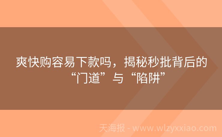 爽快购容易下款吗，揭秘秒批背后的“门道”与“陷阱”