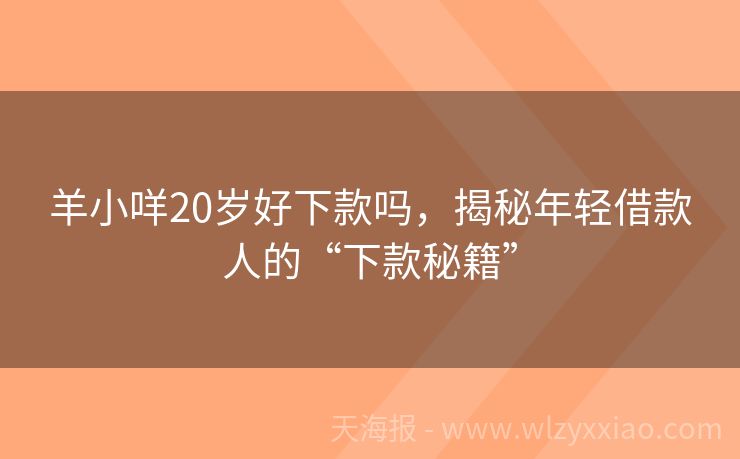 羊小咩20岁好下款吗，揭秘年轻借款人的“下款秘籍”