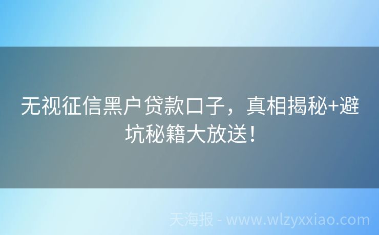 无视征信黑户贷款口子，真相揭秘+避坑秘籍大放送！