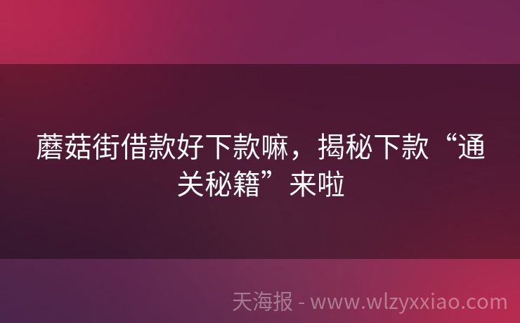 蘑菇街借款好下款嘛，揭秘下款“通关秘籍”来啦