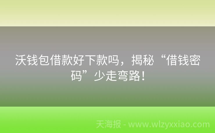 沃钱包借款好下款吗，揭秘“借钱密码”少走弯路！