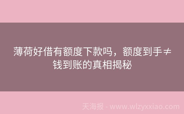 薄荷好借有额度下款吗，额度到手≠钱到账的真相揭秘