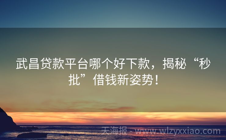 武昌贷款平台哪个好下款，揭秘“秒批”借钱新姿势！