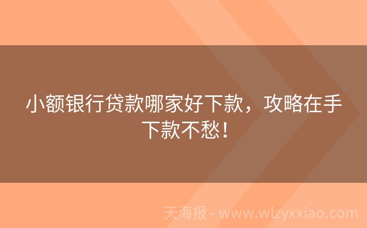 小额银行贷款哪家好下款，攻略在手下款不愁！