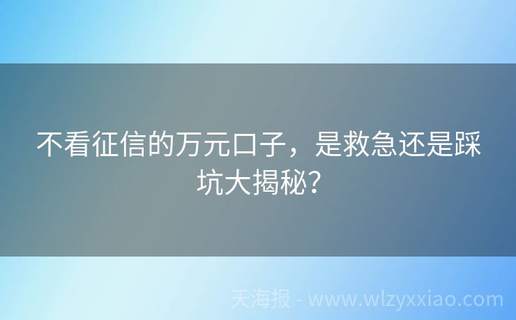 不看征信的万元口子，是救急还是踩坑大揭秘？
