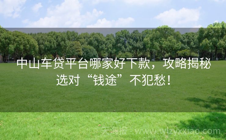 中山车贷平台哪家好下款，攻略揭秘选对“钱途”不犯愁！