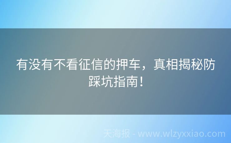 有没有不看征信的押车，真相揭秘防踩坑指南！