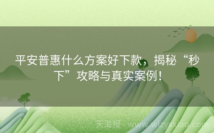 平安普惠什么方案好下款，揭秘“秒下”攻略与真实案例！