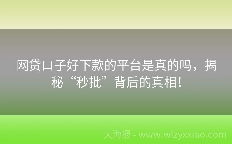 网贷口子好下款的平台是真的吗，揭秘“秒批”背后的真相！