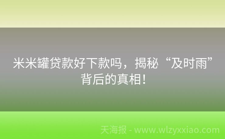 米米罐贷款好下款吗，揭秘“及时雨”背后的真相！