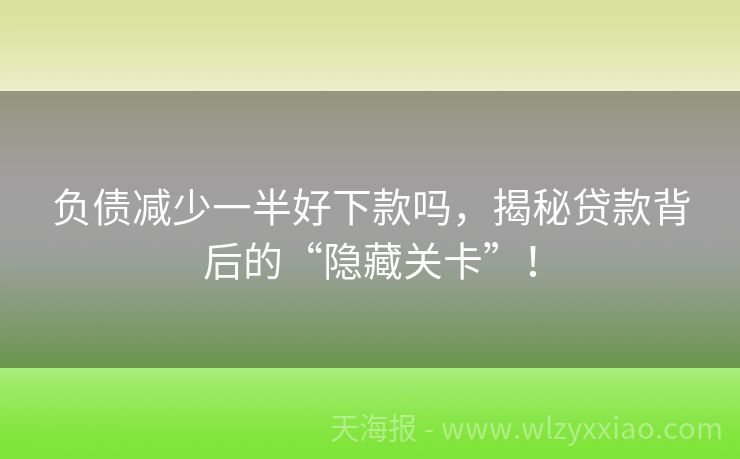 负债减少一半好下款吗，揭秘贷款背后的“隐藏关卡”！