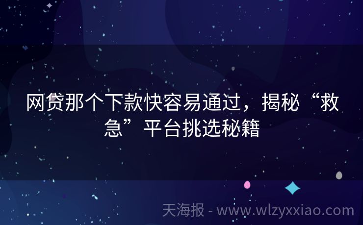 网贷那个下款快容易通过，揭秘“救急”平台挑选秘籍