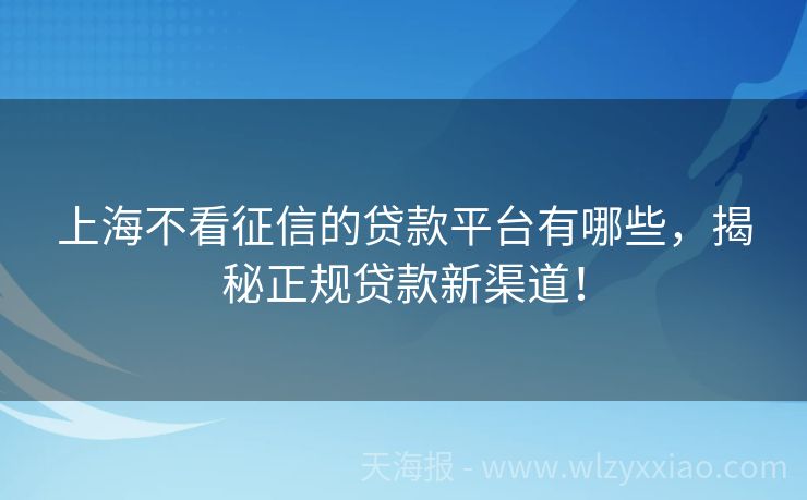 上海不看征信的贷款平台有哪些，揭秘正规贷款新渠道！