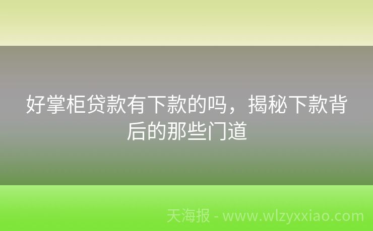 好掌柜贷款有下款的吗，揭秘下款背后的那些门道