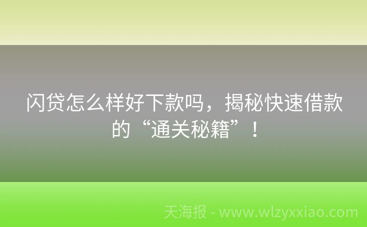 闪贷怎么样好下款吗，揭秘快速借款的“通关秘籍”！